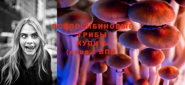 шишки Краснослободск