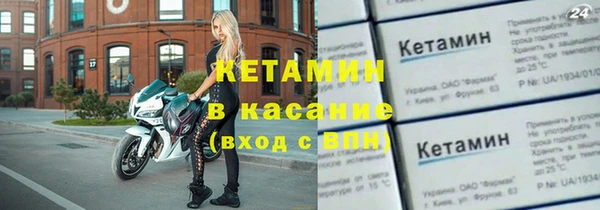 гашик Вяземский