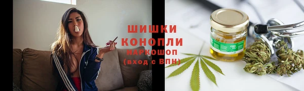 PSILOCYBIN Кукмор