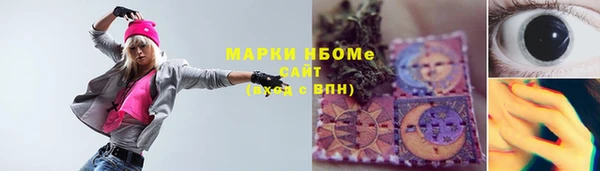 крисы Куйбышев