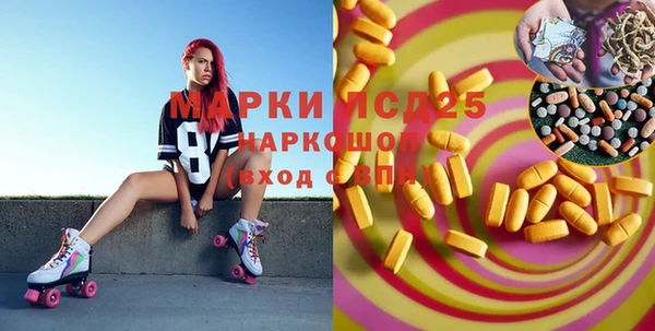 шишки Краснослободск
