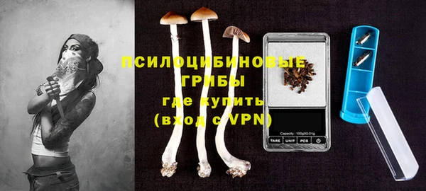PSILOCYBIN Кукмор