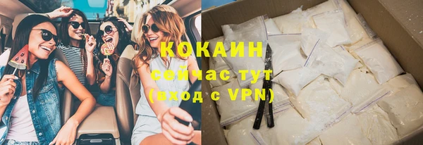 шишки Краснослободск