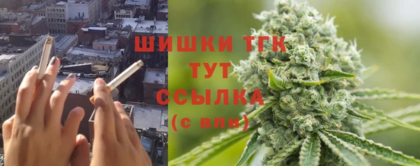 шишки Краснослободск