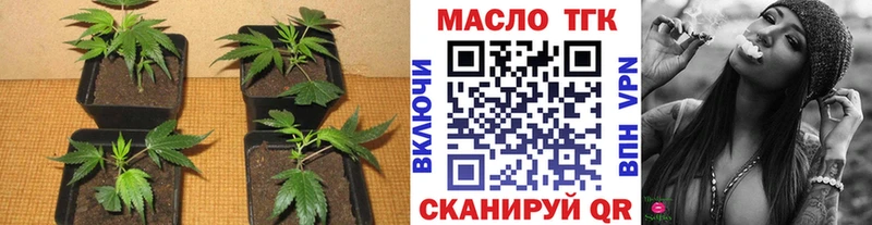 магазин    сайты даркнета телеграм  ТГК THC oil  Николаевск-на-Амуре 