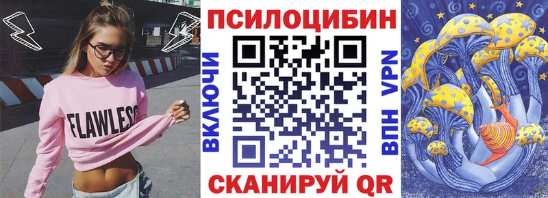 Псилоцибиновые грибы мухоморы  mega онион  Николаевск-на-Амуре  наркота 